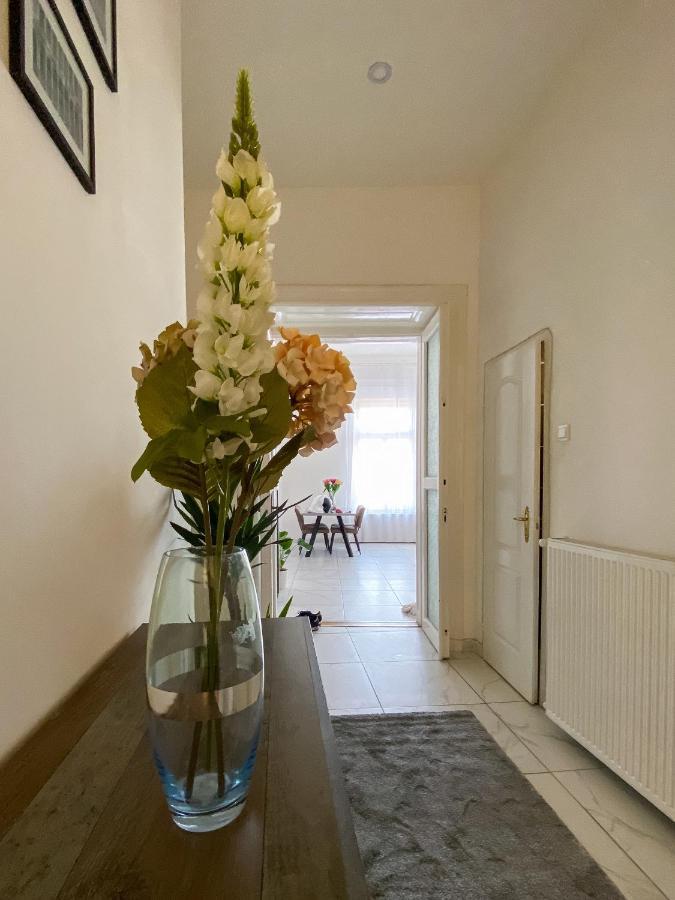 Luxury Riverside Panorama Apartment Budapest Luaran gambar